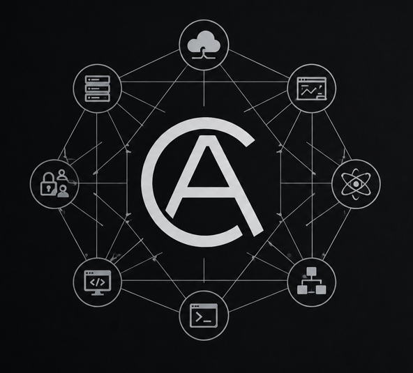CASYS Systems network logo